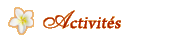 Activities